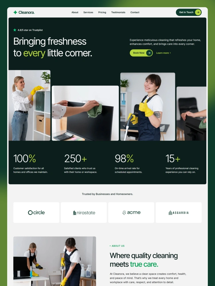 Cleanora client website preview